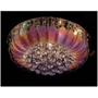 Люстра стельова ARTTOK 6874/600 LED **Y